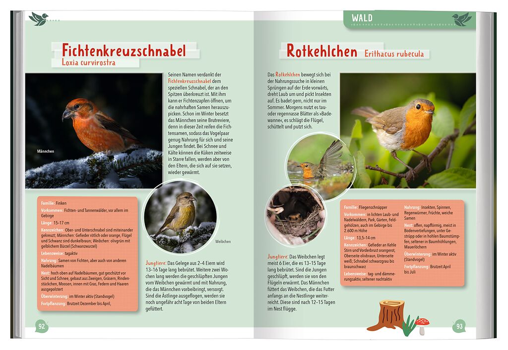 Mein großer Naturführer Tiere & Pflanzen