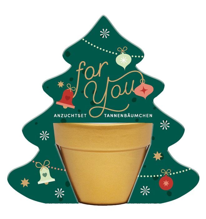 Anzuchtset Tannenbäumchen Weihnachten
