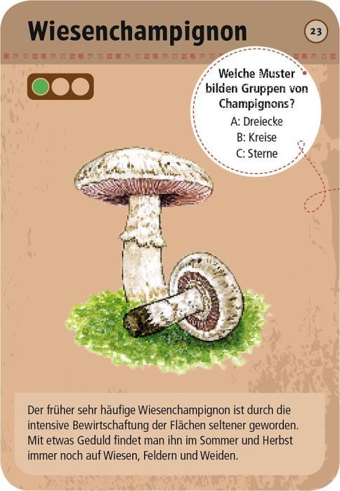 Expedition Natur 50 heimische Pilze