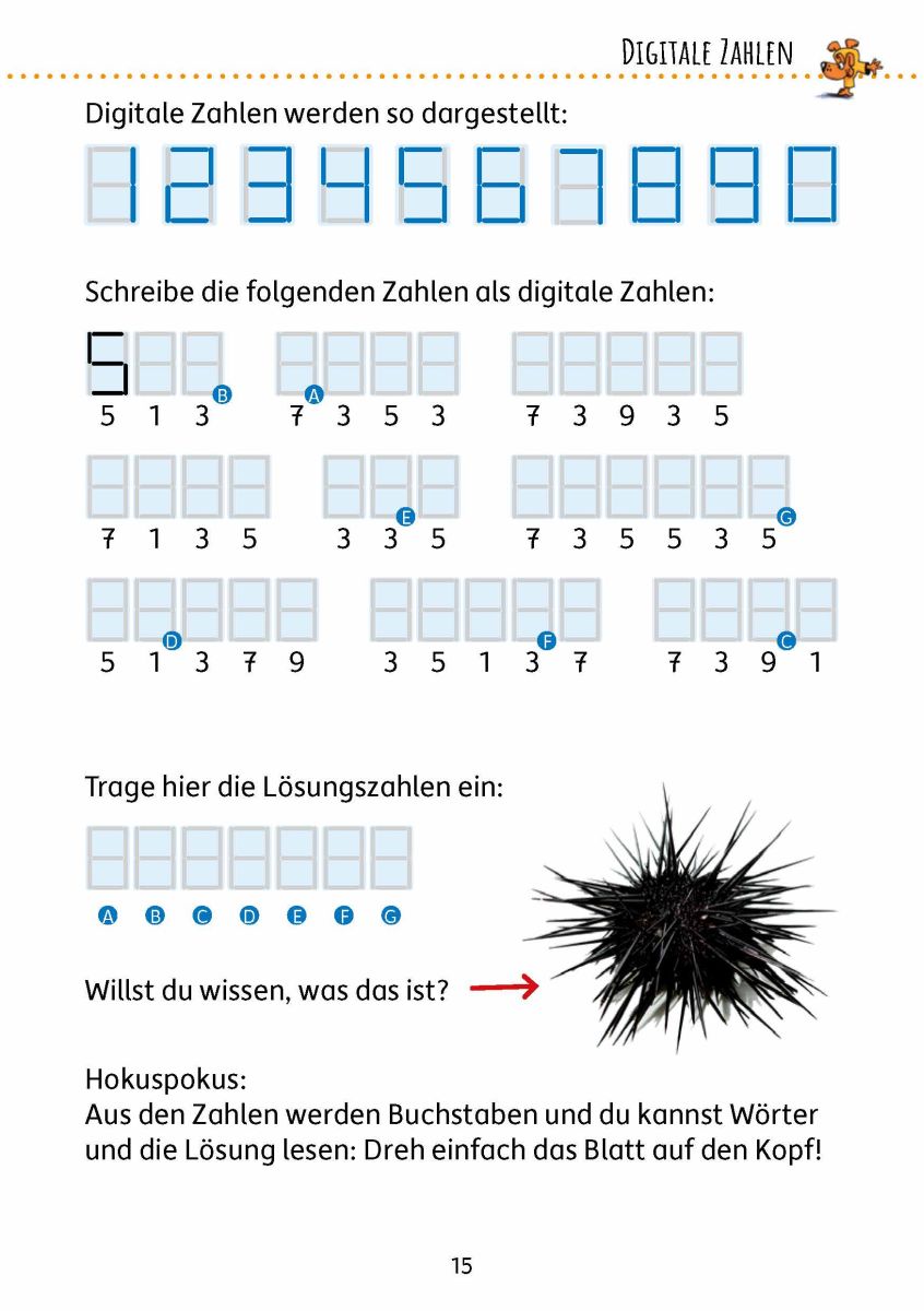 Rätselblock Band 1 - Hauschka Verlag 8+