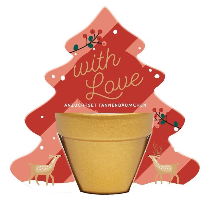 Anzuchtset Tannenbäumchen Weihnachten