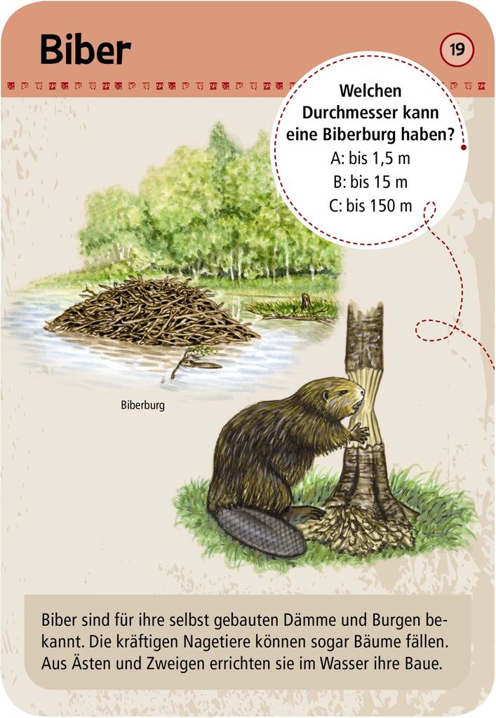 Expedition Natur 50 Tierspuren - Moses